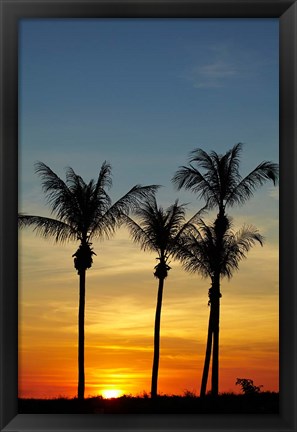 Framed Beach, Palm trees, Mindil Beach, Darwin, Australia Print