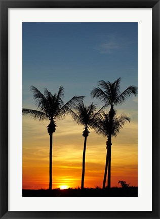 Framed Beach, Palm trees, Mindil Beach, Darwin, Australia Print