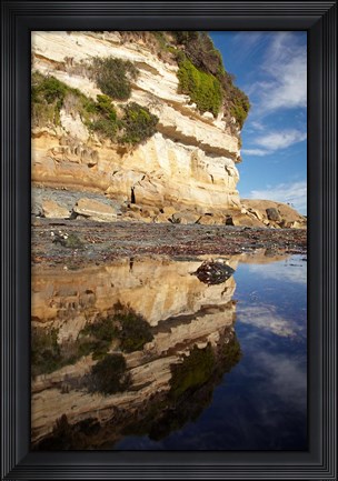 Framed Cliffs of Fossil Bluff, Wynyard, NW Tasmania, Australia Print