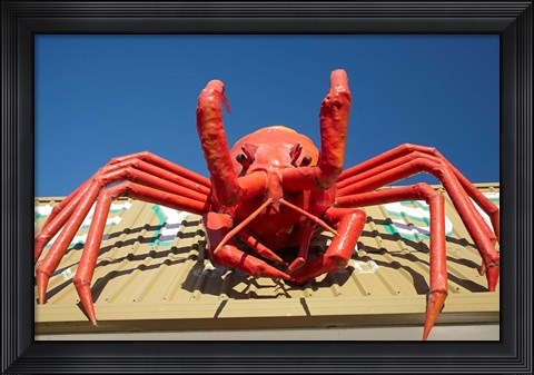 Framed Crustacean, Giant Lobster, Stanley, Tasmania, Australia Print