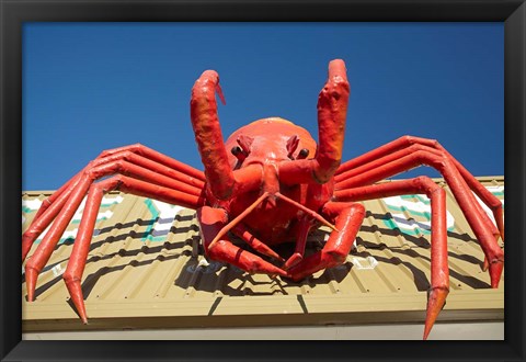 Framed Crustacean, Giant Lobster, Stanley, Tasmania, Australia Print