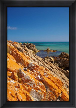 Framed Orange Lichen, Green Point, Ann Bay, Australia Print