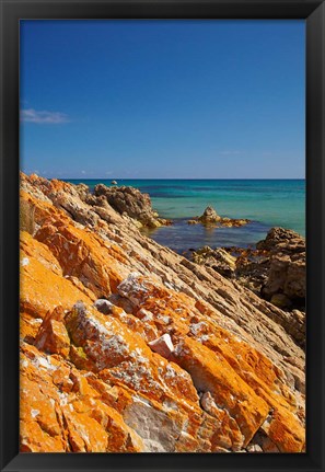 Framed Orange Lichen, Green Point, Ann Bay, Australia Print