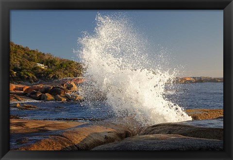 Framed Splash from Blowhole, Bicheno, Tasmania, Australia Print