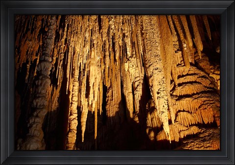 Framed Stalactites, Newdegate Cave, Hastings Caves, Australia Print