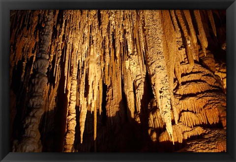 Framed Stalactites, Newdegate Cave, Hastings Caves, Australia Print