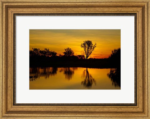 Framed Water Billabong, Kakadu NP, Northern Territory, Australia Print
