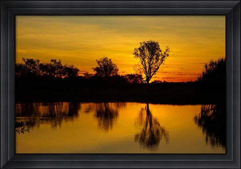 Framed Water Billabong, Kakadu NP, Northern Territory, Australia Print