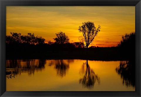 Framed Water Billabong, Kakadu NP, Northern Territory, Australia Print