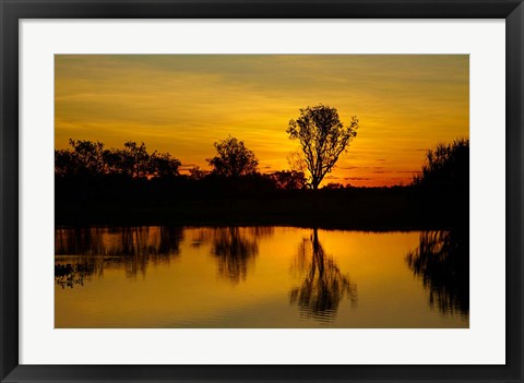 Framed Water Billabong, Kakadu NP, Northern Territory, Australia Print