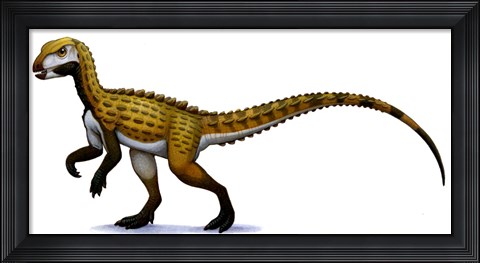 Framed Scutellosaurus Print