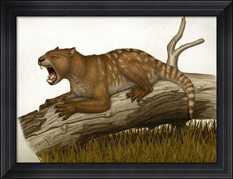 Framed Thylacoleo Carnifex Print