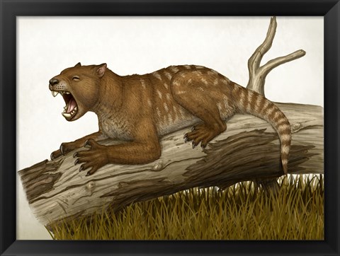 Framed Thylacoleo Carnifex Print