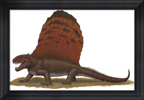 Framed Dimetrodon Print