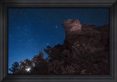 Framed Moon Rises through Trees in Oklahoma Print