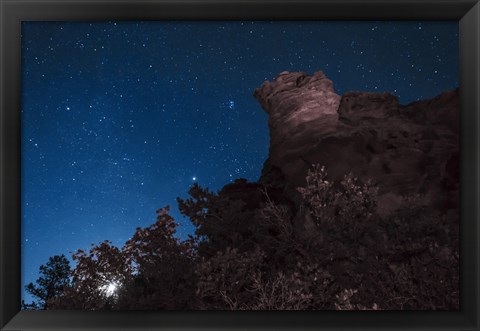 Framed Moon Rises through Trees in Oklahoma Print