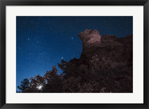 Framed Moon Rises through Trees in Oklahoma Print