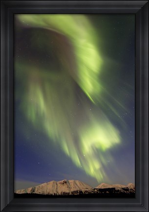 Framed Aurora Borealis over Emerald Lake, Canada Print