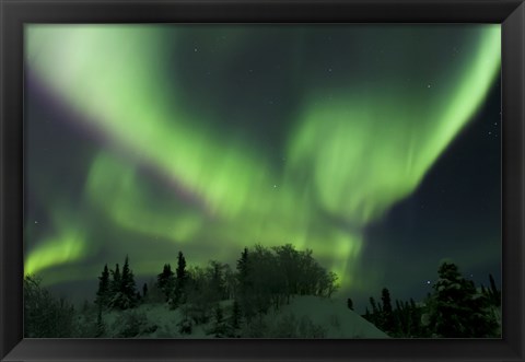 Framed Aurora Borealis Takes Flight Print