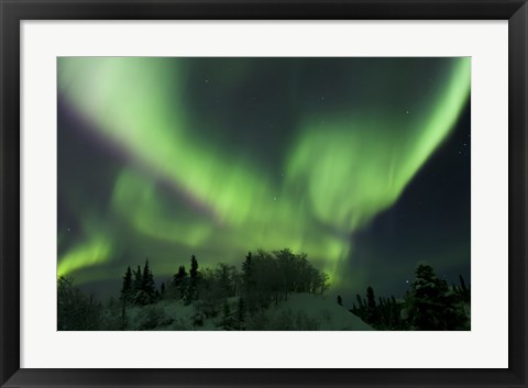 Framed Aurora Borealis Takes Flight Print