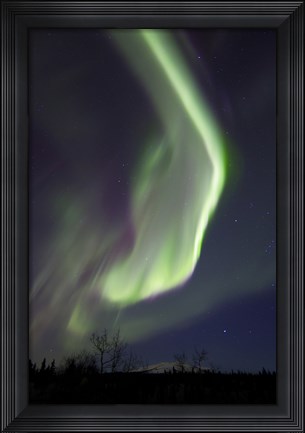 Framed Aurora Borealis with Orion&#39;s Belt, Yukon, Canada Print