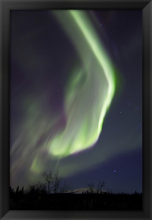 Framed Aurora Borealis with Orion&#39;s Belt, Yukon, Canada Print