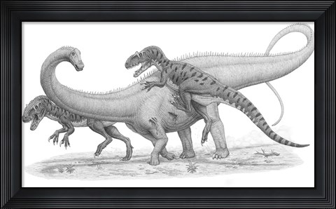 Framed Group of Allosaurus Attack a giant Diplodocus Print