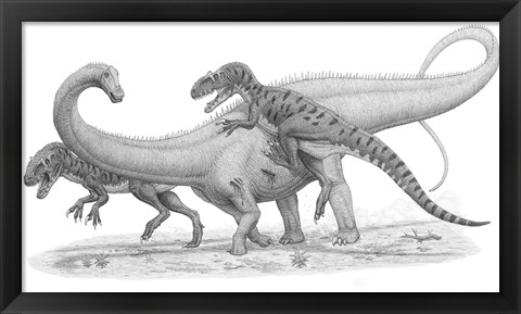 Framed Group of Allosaurus Attack a giant Diplodocus Print