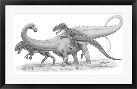 Framed Group of Allosaurus Attack a giant Diplodocus Print