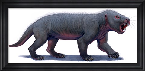 Framed Kayentatherium, a Mammal-like Tritylodont of the Jurassic Period Print