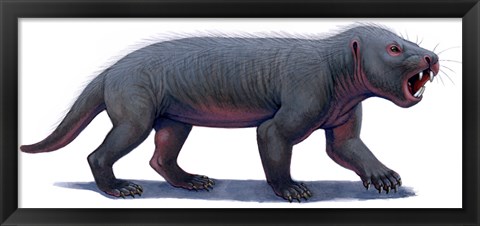 Framed Kayentatherium, a Mammal-like Tritylodont of the Jurassic Period Print