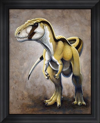 Framed Megalosaurus, a Large Meat-Eating Dinosaur of the Jurassic period Print