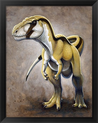 Framed Megalosaurus, a Large Meat-Eating Dinosaur of the Jurassic period Print