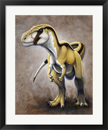 Framed Megalosaurus, a Large Meat-Eating Dinosaur of the Jurassic period Print