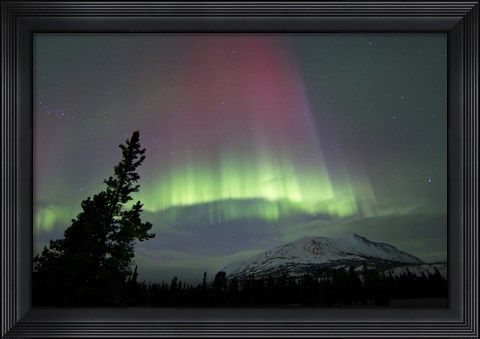 Framed Red and Green Aurora Borealis over Carcross Desert Print