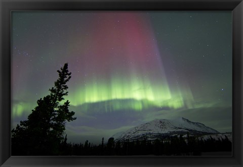 Framed Red and Green Aurora Borealis over Carcross Desert Print