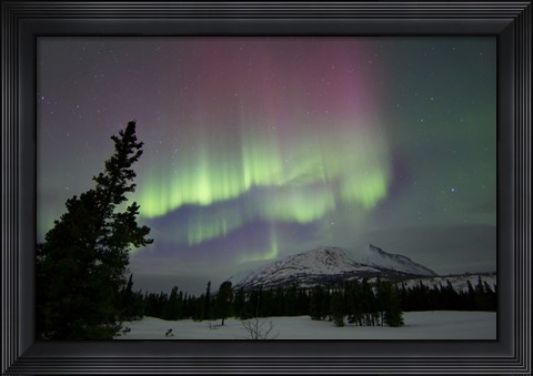 Framed Red and Green Aurora Borealis over Carcross Desert, Canada Print