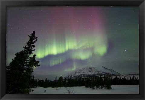 Framed Red and Green Aurora Borealis over Carcross Desert, Canada Print