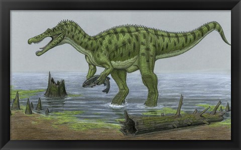 Framed Baryonyx Walkeri Catches a Fish Print