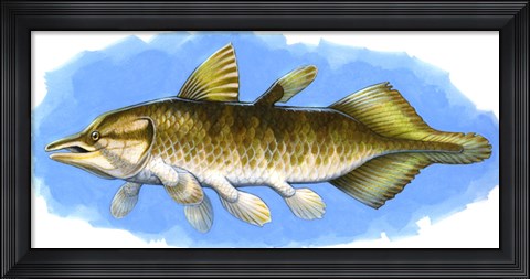 Framed Chinlea Print