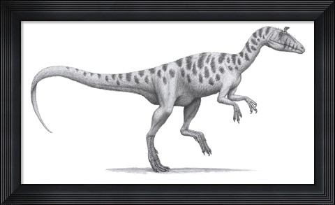 Framed Cryolophosaurus Elliotti Print