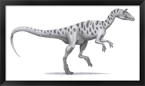 Framed Cryolophosaurus Elliotti Print