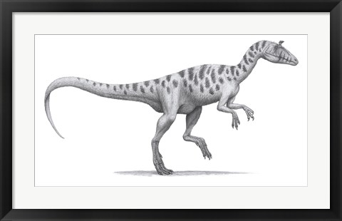 Framed Cryolophosaurus Elliotti Print