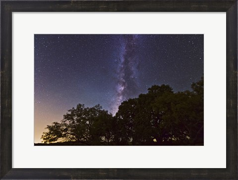 Framed Milky Way Above LiveOoak and Mesquite Trees Print