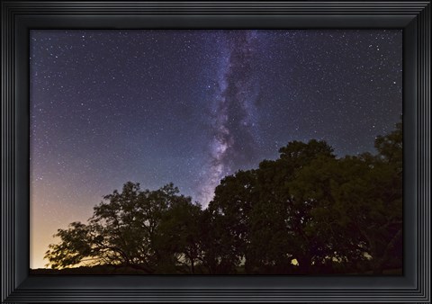 Framed Milky Way Above LiveOoak and Mesquite Trees Print