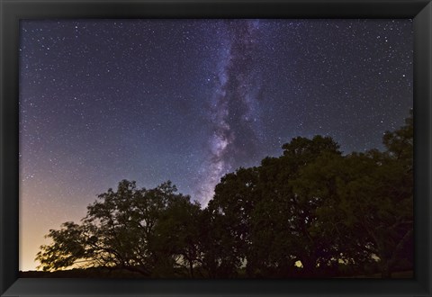 Framed Milky Way Above LiveOoak and Mesquite Trees Print