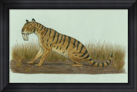 Framed Thylacosmilus Atrox Print