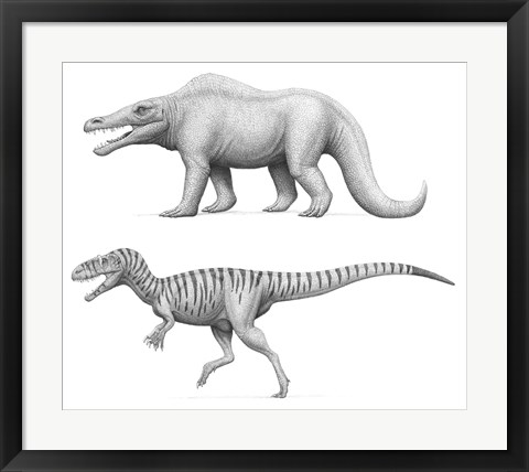 Framed Megalosaurus Bucklandii, Past and Present Print