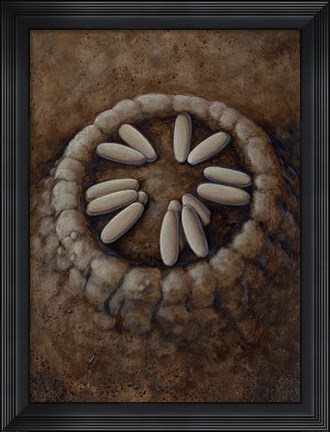 Framed Nest of Oviraptor Dinosaur Eggs Print