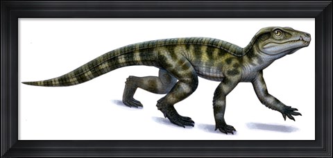 Framed Protosuchus Print